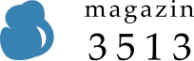 Логотип компании Magazin3513